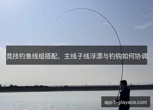 竞技钓鱼线组搭配，主线子线浮漂与钓钩如何协调